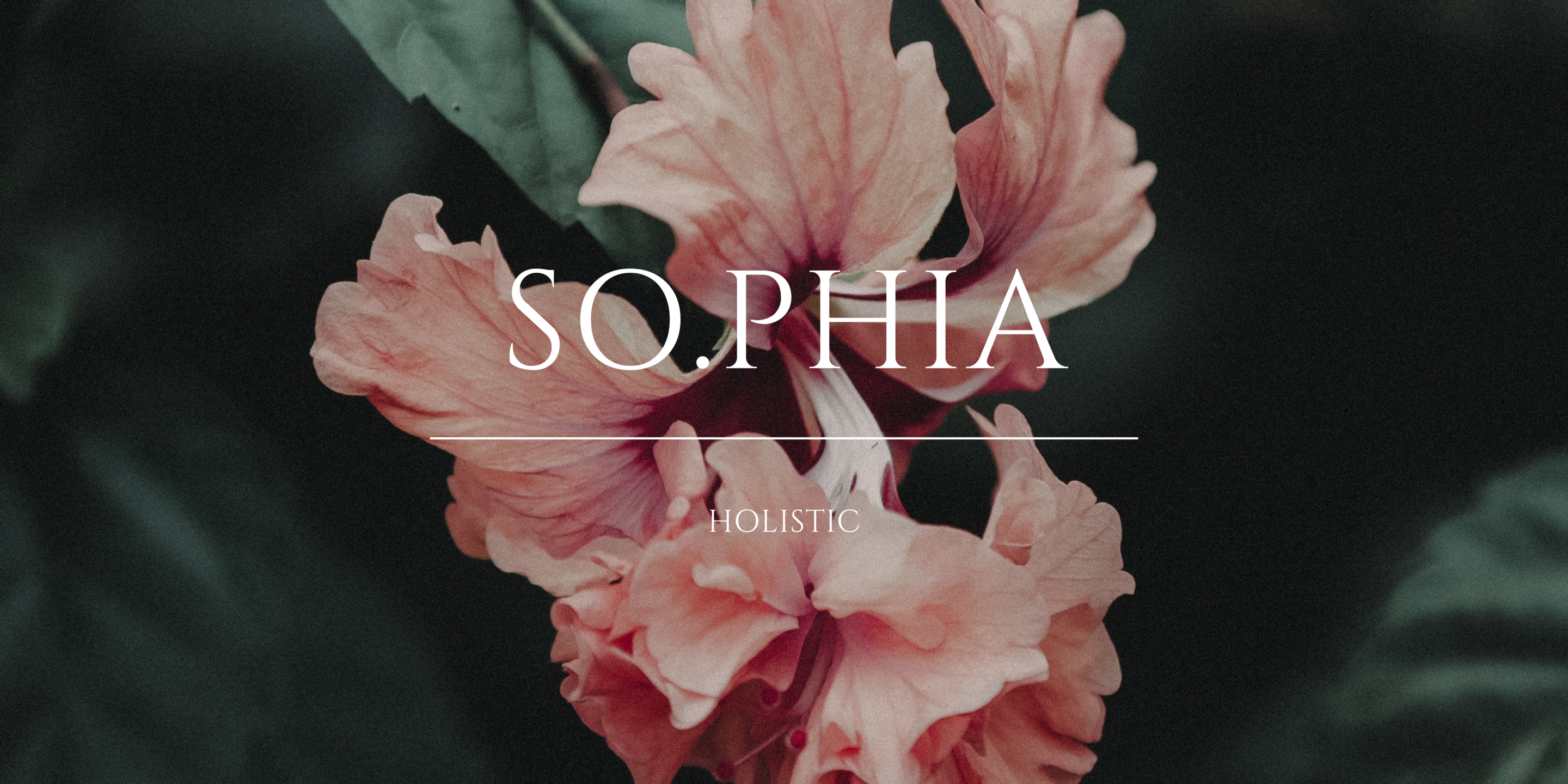 presentation Sophia holistic presentation Sophia holistic